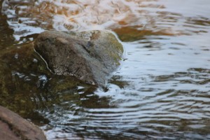 Foto: sterntaler62 /pixelio.de